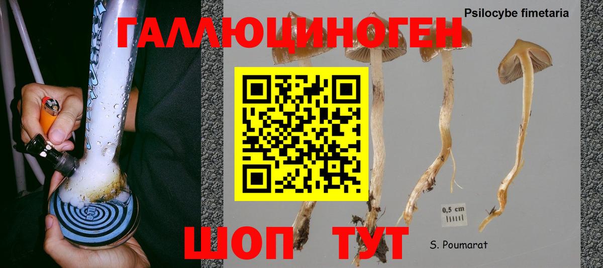 Псилоцибиновые грибы Psilocybine cubensis  Галлюциногенные грибы Magic Shrooms  Клинцы  Вход с VPN 